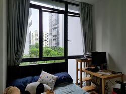 La Fiesta (D19), Condominium #324361891